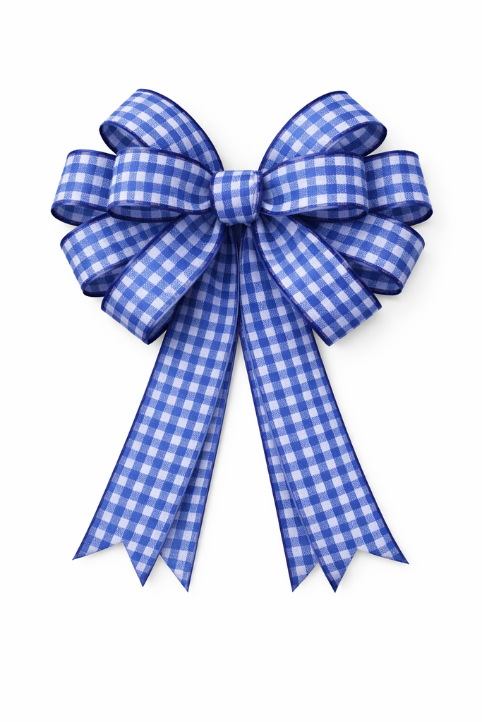 Blauw-witte ruiten strik in close-up.webp