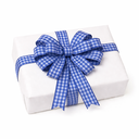 Wit cadeau met blauw geruit lint.webp