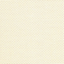 1007.webp