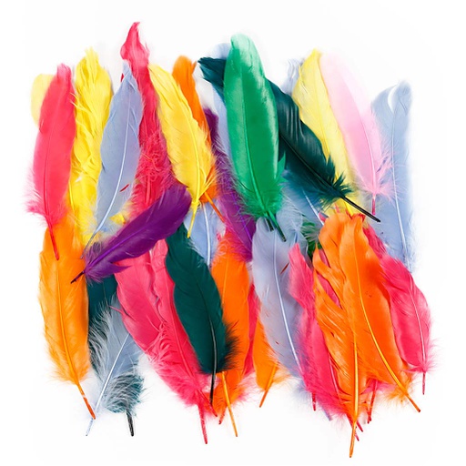 [CR51673] Veren, L: 12-15 cm, diverse kleuren, 350 stuk/ 1 doos