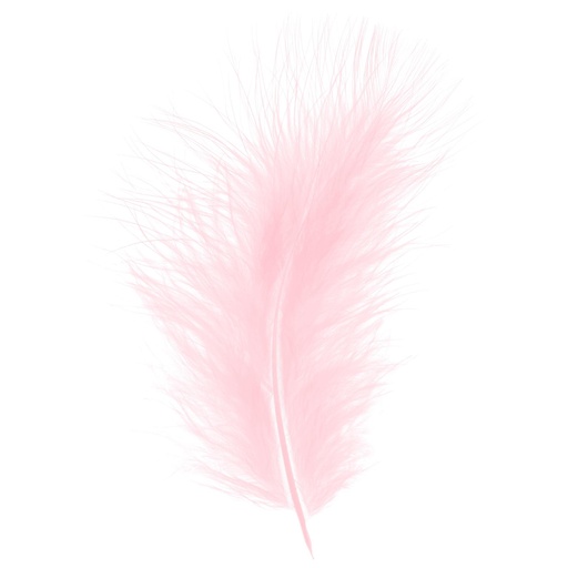 [2533#1] Veren Turkey Donzig 20gr, Babyroze