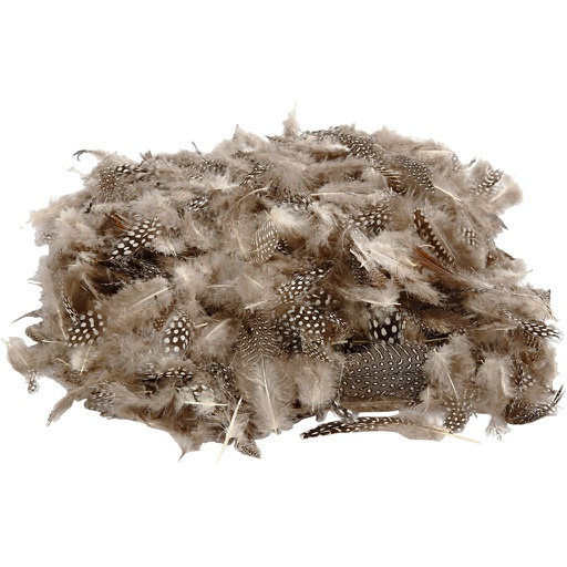 [CR51822] Plumes de pintade, ca. 1000 pièce, naturel, 50 gr/ 1 Pq.