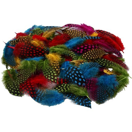 [CR51823] Plumes de pintade, couleurs assorties, 50 gr/ 1 Pq.