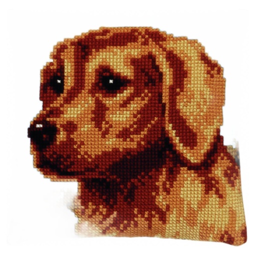 [PA4041#144] Kit coussin point de croix 40x40cm, Labrador