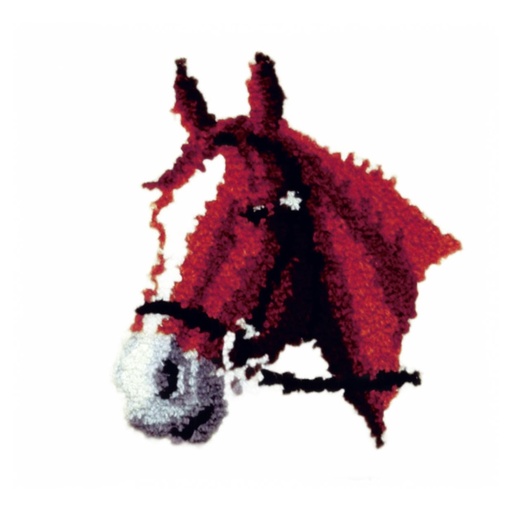 [PA4040#053] Knoopkussens 40x40cm, Paard