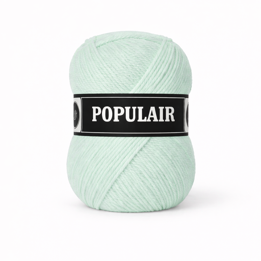 [PO34#98] Laine acrylique Populair 20 x 50gr. menthe (98)