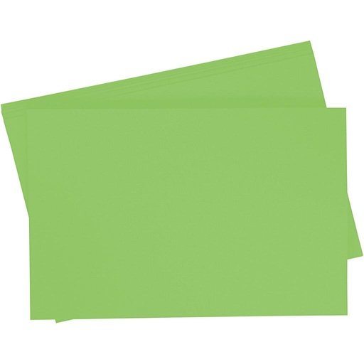 [0657#51] Getint papier 130g/m², 50x70cm, 10 vellen, lichtgroen