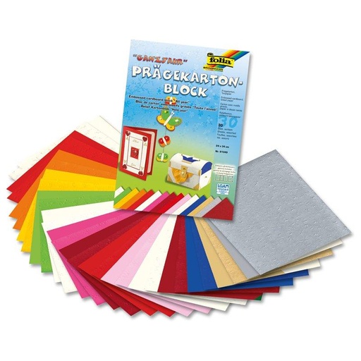 [FOL61349] Bloc carton gravé "Tte l'année" 220g/m², 24x34cm, 30 flles assorties