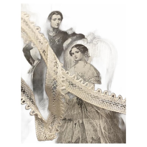 [6045PI] Ruban Lacet Picot 50m