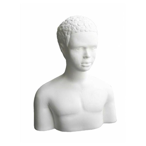 [PO0110] African Collection, Prince Full