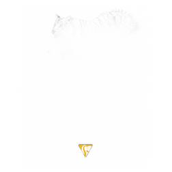 [CL96026] Dessin à Grain 224gr