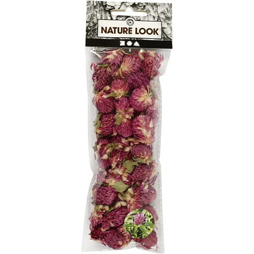 [CR709502] Fleurs séchées, Trèfle rouge, L: 1,5-2,5 cm, d: 1 - 1,5 cm, violet, 1 Pq.