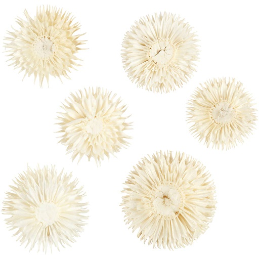 [CR50204] Gedroogde bloemen, d: 3-5 cm - 6 stuks