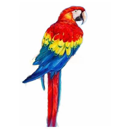 [RB-PJS#92] Painting by Numbers 225x305mm, Scarlet Macaw