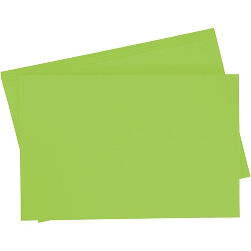[0656#406] Carton affiche 380g/m², 48x68cm, 1 feuille, vert maïs