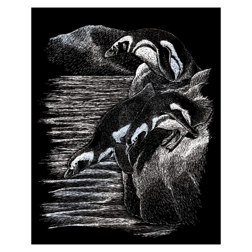 [RB-SILF#20] Dessin Scratch A4 Silver Foil plume inclus, Pingouins