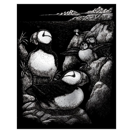 [RB-SILF#24] Dessin Scratch A4 Silver Foil plume inclus, Macareux