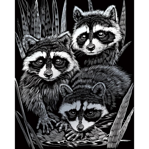 [RB-SILF#46] Dessin Scratch A4 Silver Foil plume inclus, Ratons laveurs