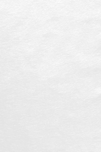 [2833#138] Feutre de bricolage (40% laine), plaquette 20cm x 30cm, épaisseur 1,5mm, Blanc