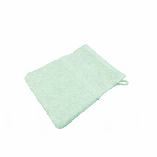 [B12270WH#05] Gant de toilette Softline galon aida 23x15cm, mint