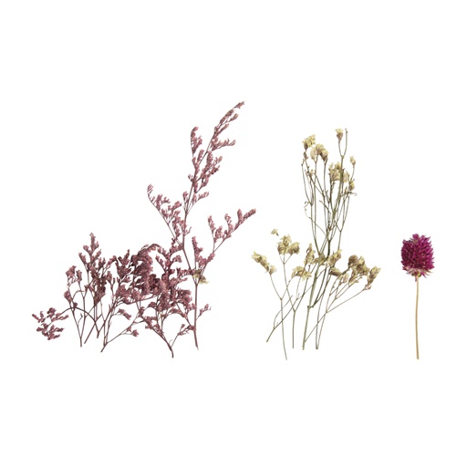 [R85489254] Mini droogbloemen, zacht rose