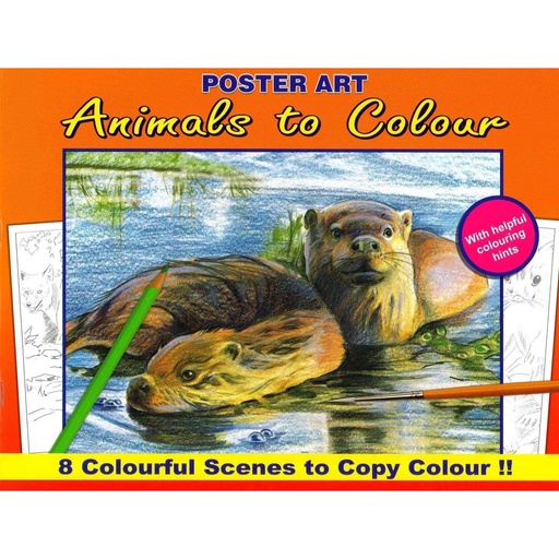 [WF1020#04] Album à colorier 30X23cm,8 tirages colorés, Animals